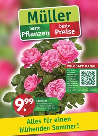 Gartencenter Müller Prospekt - Blumen Müller