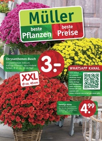 Gartencenter Müller Prospekt - Gartencenter Müller