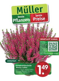 Gartencenter Müller Prospekt - Blumen Müller