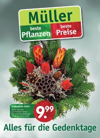 Gartencenter Müller Prospekt - Angebote ab 24.10.