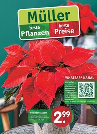 Gartencenter Müller Prospekt - Blumen Müller