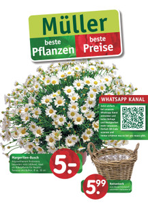 Gartencenter Müller Prospekt - beste Pflanzen - beste Preise