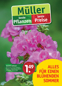 Gartencenter Müller Prospekt - Gartencenter Müller