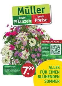 Gartencenter Müller Prospekt - Gartencenter Müller