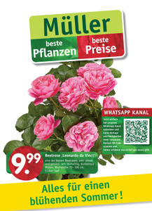 Gartencenter Müller Prospekt - Gartencenter Müller