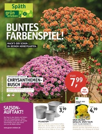 Gartencenter Späth Prospekt - Buntes Farbenspiel!