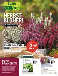 Gartencenter Späth Prospekt - Herbstblüher