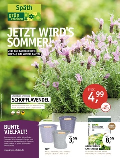 Gartencenter Späth Prospekt - Jetzt wird's Sommer