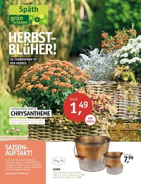 Gartencenter Späth Prospekt - Herbst-Blüher!