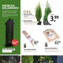 Gartencenter Späth Prospekt Seite 2