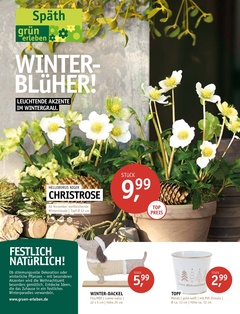 Gartencenter Späth Prospekt - Winterblüher! - Seite 1
