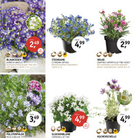 Gartencenter Späth Prospekt Seite 2