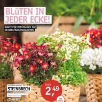 Gartencenter Späth Prospekt Seite 3