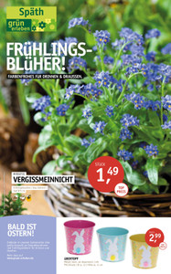 Gartencenter Späth Prospekt - Frühlingsblüher