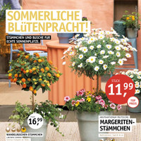 Gartencenter Späth Prospekt Seite 2