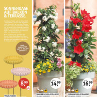 Gartencenter Späth Prospekt Seite 3