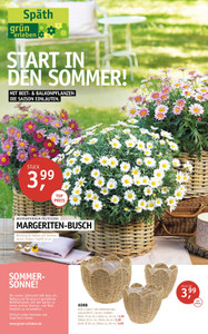 Gartencenter Späth Prospekt - Beet & Balkon