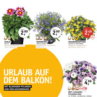 Gartencenter Späth Prospekt Seite 3