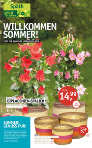 Gartencenter Späth Prospekt - Willkommen Sommer!