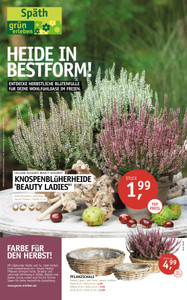 Gartencenter Späth Prospekt - Heide in Bestform