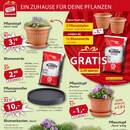 Sonderpreis Baumarkt Prospekt - Blumen