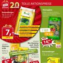 Sonderpreis Baumarkt Prospekt - Blumen