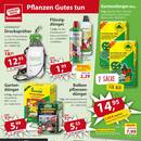 Sonderpreis Baumarkt Prospekt - Garten & Balkon Angebote