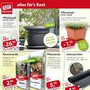 Sonderpreis Baumarkt Prospekt Seite 2