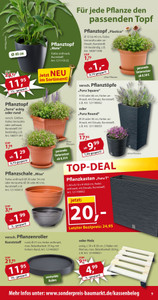 Sonderpreis Baumarkt Prospekt - Angebote ab 07.03.