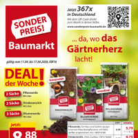 Sonderpreis Baumarkt Prospekt - Blumen