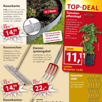 Sonderpreis Baumarkt Prospekt - Obst & Gemüse