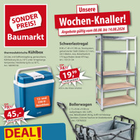 Sonderpreis Baumarkt Prospekt - Grillen