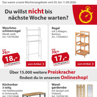 Sonderpreis Baumarkt Prospekt Seite 2