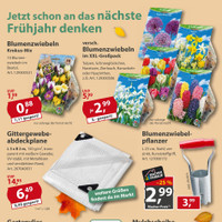 Sonderpreis Baumarkt Prospekt - Blumen