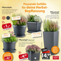 Sonderpreis Baumarkt Prospekt - Herbstliche Angebote Angebote