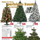 BAUHAUS Prospekt - Günstige Weihnachtsdeko für ein stimmungsvolles Fest Angebote