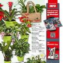 BAUHAUS Prospekt - Blumen