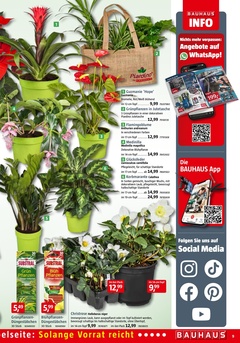 BAUHAUS Prospekt - November 2025