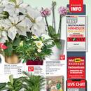 BAUHAUS Prospekt Seite 13