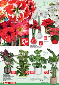 BAUHAUS Prospekt - Angebote Dezember