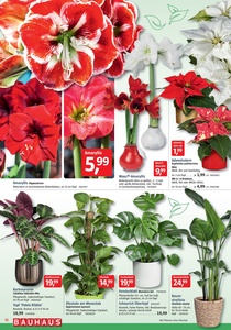 BAUHAUS Prospekt - Dezember 2025