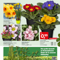 BAUHAUS Prospekt Seite 2