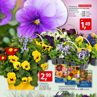 BAUHAUS Prospekt Seite 3