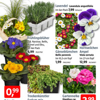 BAUHAUS Prospekt Seite 2