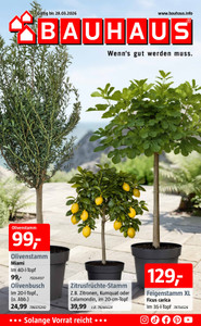BAUHAUS Prospekt - März 2026