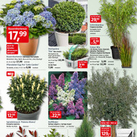 BAUHAUS Prospekt Seite 5