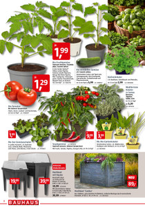 BAUHAUS Prospekt - Angebote ab 28.03. - Seite 2