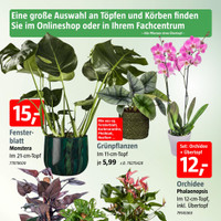 BAUHAUS Prospekt - Blumen