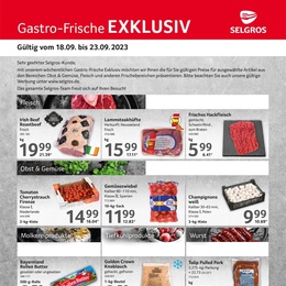 SELGROS Prospekt - Gastroangebote