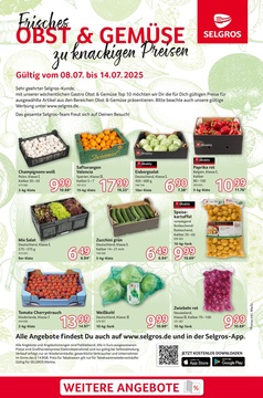 SELGROS Prospekt - Frischeangebot